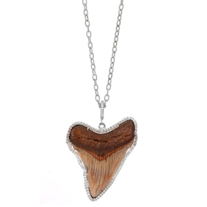 Shark Tooth Necklace
