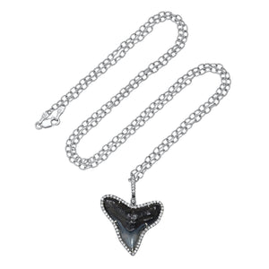 Shark Tooth Necklace