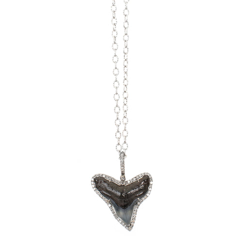Shark Tooth Necklace