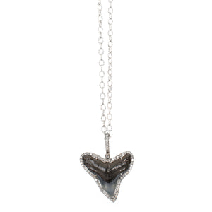 Shark Tooth Necklace