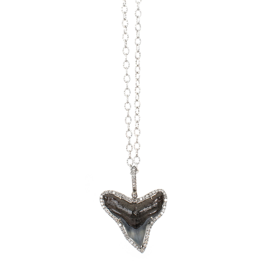 Shark Tooth Necklace