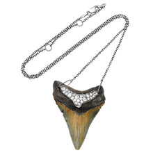 Load image into Gallery viewer, Shark Tooth Necklace