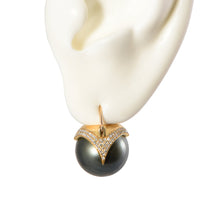 Load image into Gallery viewer, Armor Pearl Earrings