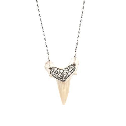 Shark Tooth Necklace