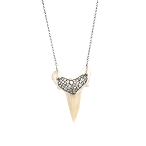 Shark Tooth Necklace