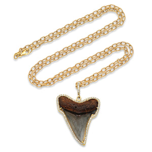 Shark Tooth Necklace