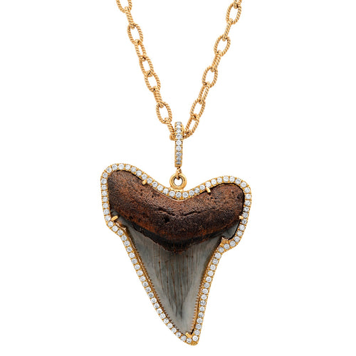 Shark Tooth Necklace