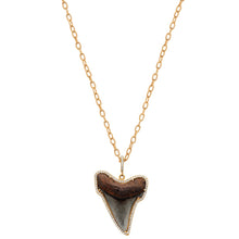Load image into Gallery viewer, Shark Tooth Necklace