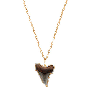 Shark Tooth Necklace