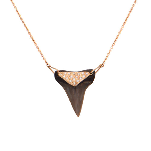 Shark Tooth Necklace