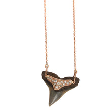 Load image into Gallery viewer, Shark Tooth Necklace