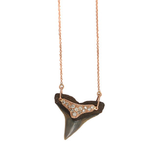 Shark Tooth Necklace