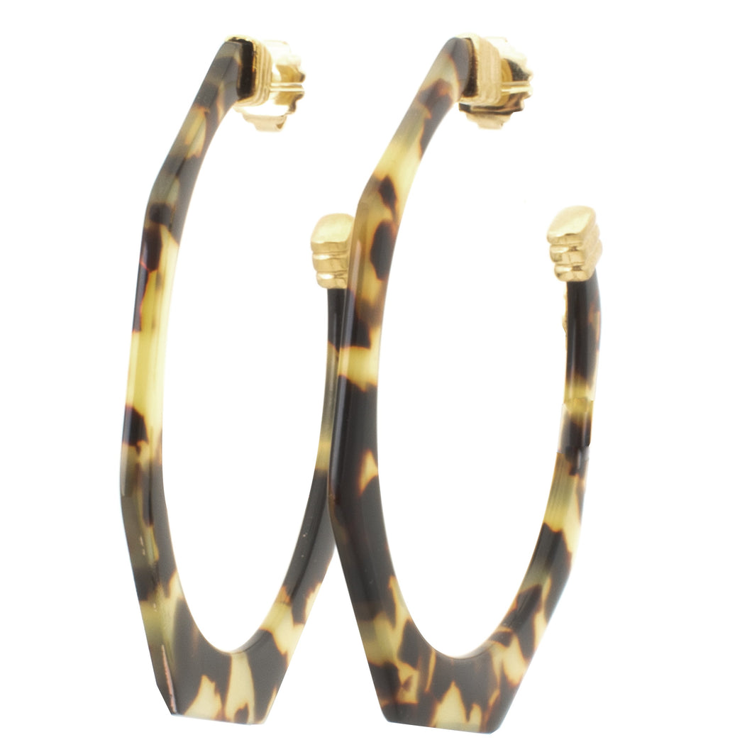 Tortoise Hoops